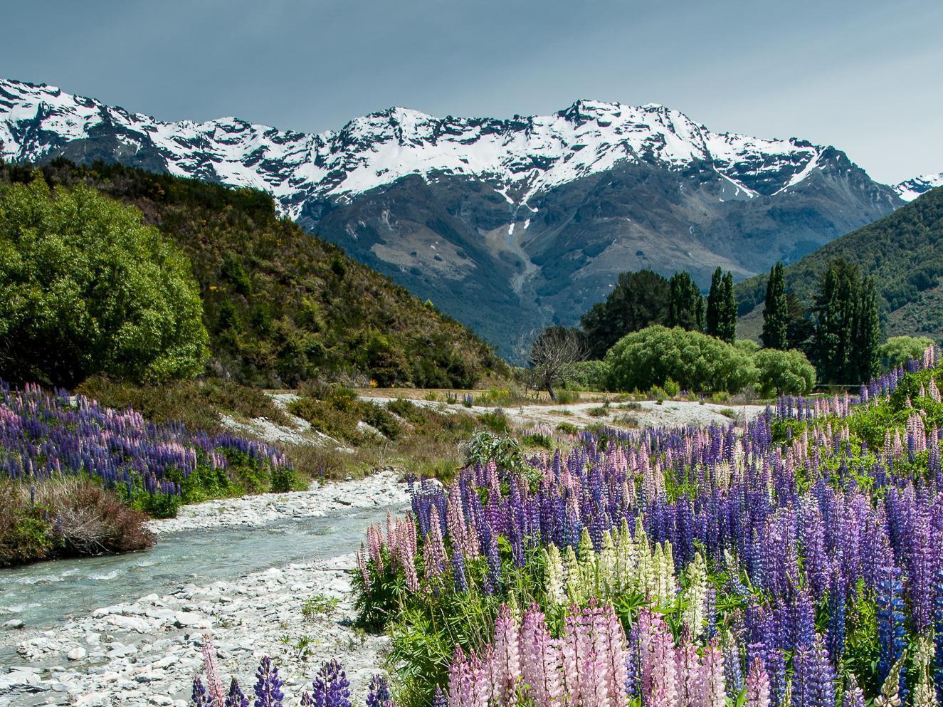 Glenorchy Peaks Bed And Breakfast Экстерьер фото